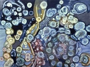 Painting titled "Biological Forms (a…" by Tara Sullivan, Original Artwork, Oil