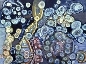 Painting titled "Biological Forms (a…" by Tara Sullivan, Original Art, Oil
