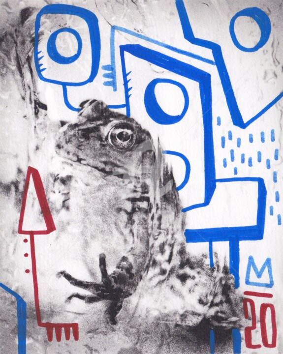 Dibujo titulada "Frog #3" por Tarek Ben Yakhlef, Obra de arte original, Fotografía digital