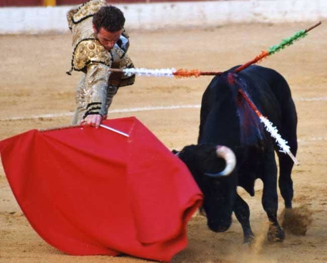 Fotografia intitulada "bullfight1.jpg" por Taryn Masson, Obras de arte originais