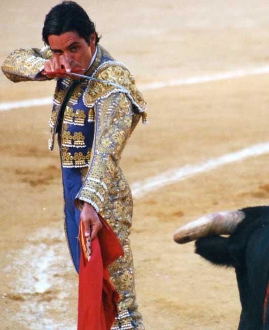 Fotografia intitulada "bullfight2.jpg" por Taryn Masson, Obras de arte originais