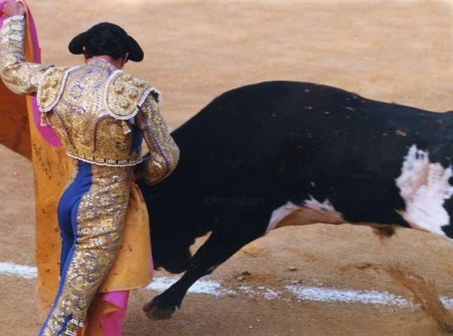 Fotografia intitulada "bullfight5.jpg" por Taryn Masson, Obras de arte originais