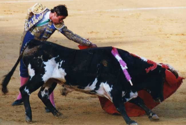 Fotografia intitulada "bullfight6.jpg" por Taryn Masson, Obras de arte originais