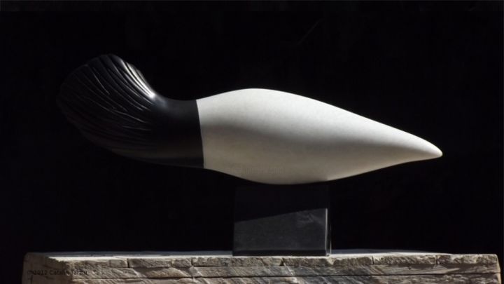 Sculpture titled "Aquatic II.jpg" by Catalin Tarziu, Original Art, Stone