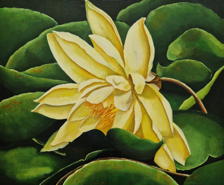 Картина под названием "Water lily" - Tatiana Karchevskaya, Подлинное произведение искусства, Масло Установлен на Деревянная…