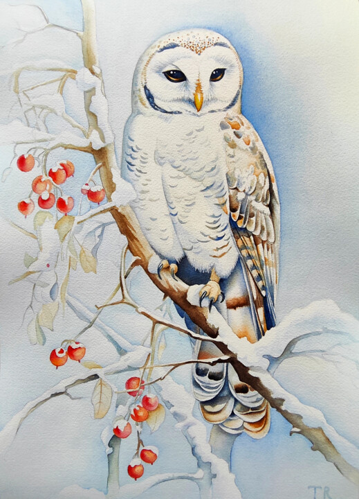 Painting titled "Snowy Owl" by Tatiana Repesciuc, Original Artwork, Watercolor