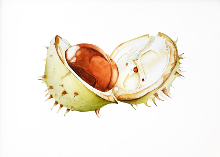 Painting titled "Chestnut" by Tatiana Repesciuc, Original Artwork, Watercolor