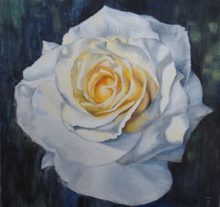 Schilderij getiteld "White rose" door Tatiana Tkachenko, Origineel Kunstwerk, Olie