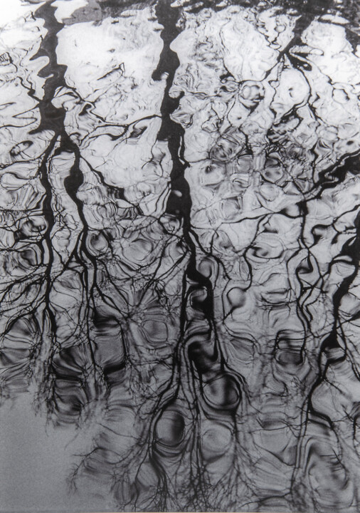 Fotografia intitolato "Drawings on water" da Tatjana Siadova, Opera d'arte originale, fotografia a pellicola Montato su Plex…