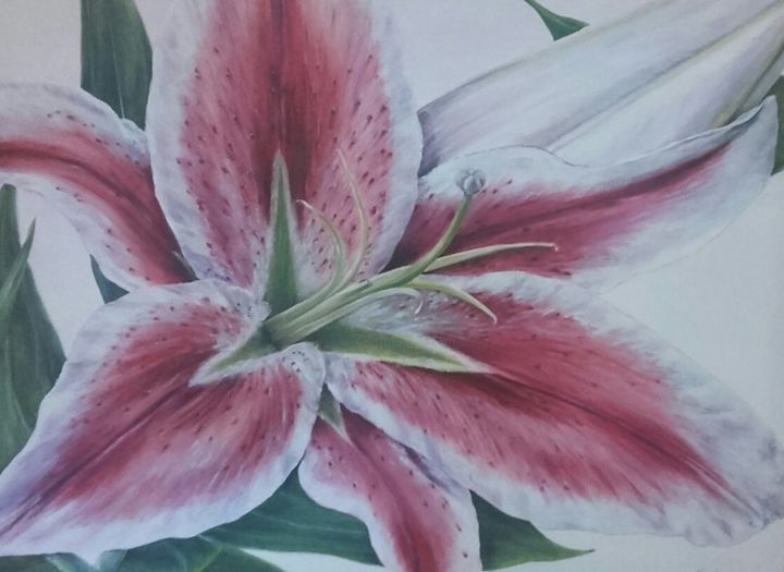 Painting titled "Лилия." by Tatjana Malinina, Original Art, Oil