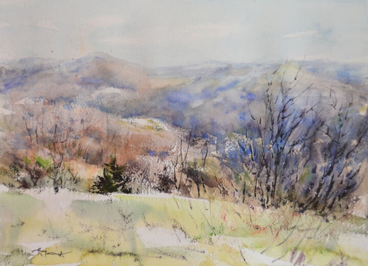 Peinture intitulée "Appalachian spring…" par Tatsiana Harbacheuskaya, Œuvre d'art originale, Aquarelle