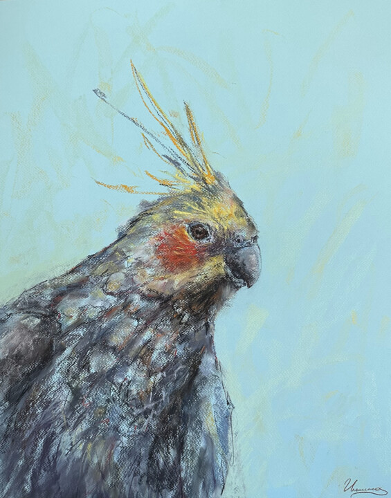 Tekening getiteld "Cockatiel- animal,…" door Tatsiana Ilyina, Origineel Kunstwerk, Pastel