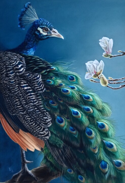 Painting titled "Peacock and magnolia" by Tatyana Lukanenko, Original Artwork, Pastel