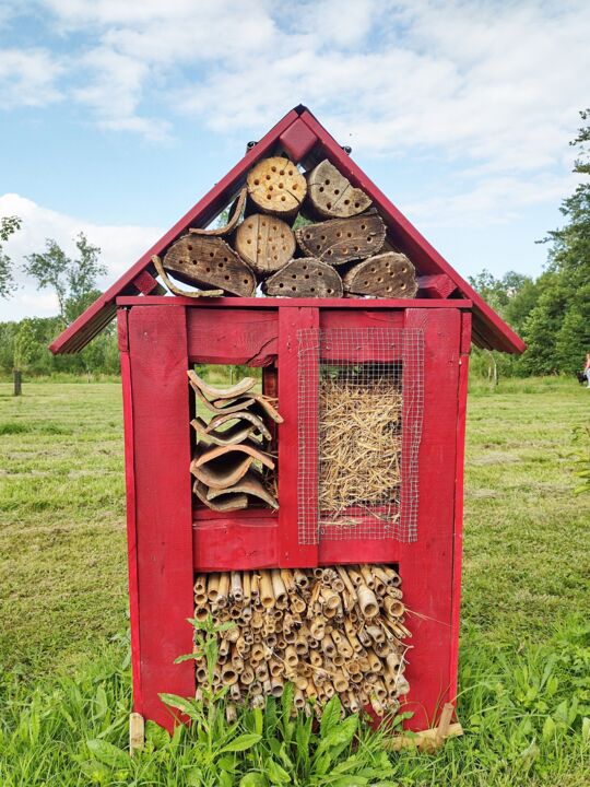 Photographie intitulée "Maison  d'insectes…" par Tc.Photographie, Œuvre d'art originale, Photographie numérique