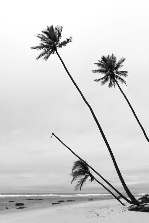 Fotografie getiteld "Brazilian beach - I…" door Tchebes, Origineel Kunstwerk, Digitale fotografie