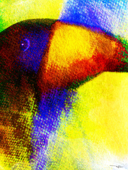 Arte digital titulada "CHOUCA-TOUCAN" por Tegas, Obra de arte original