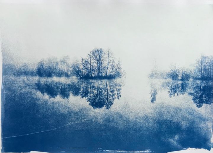 Photographie intitulée "Marais dans la brume" par Thomas Reveau, Œuvre d'art originale, Photographie argentique