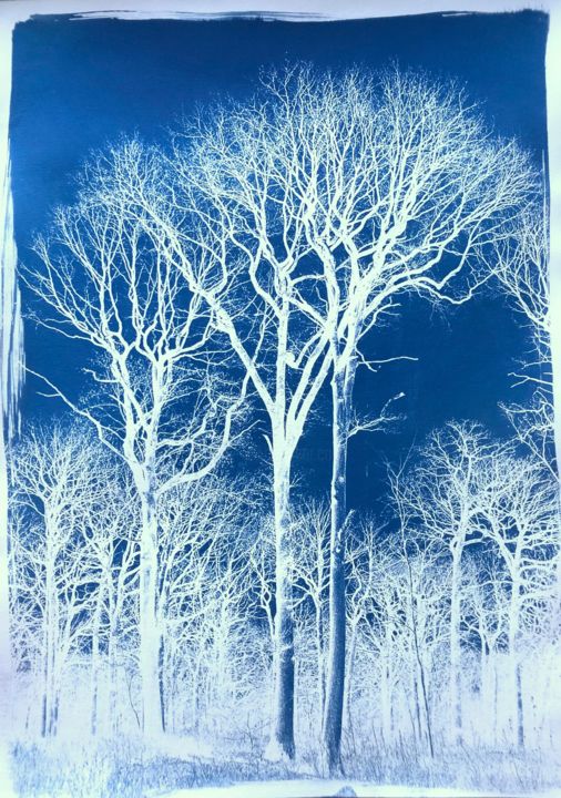 Fotografie getiteld "trees" door Thomas Reveau, Origineel Kunstwerk, Film fotografie