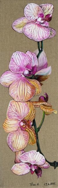 Painting titled "Orchidée rose" by Térégia, Original Artwork