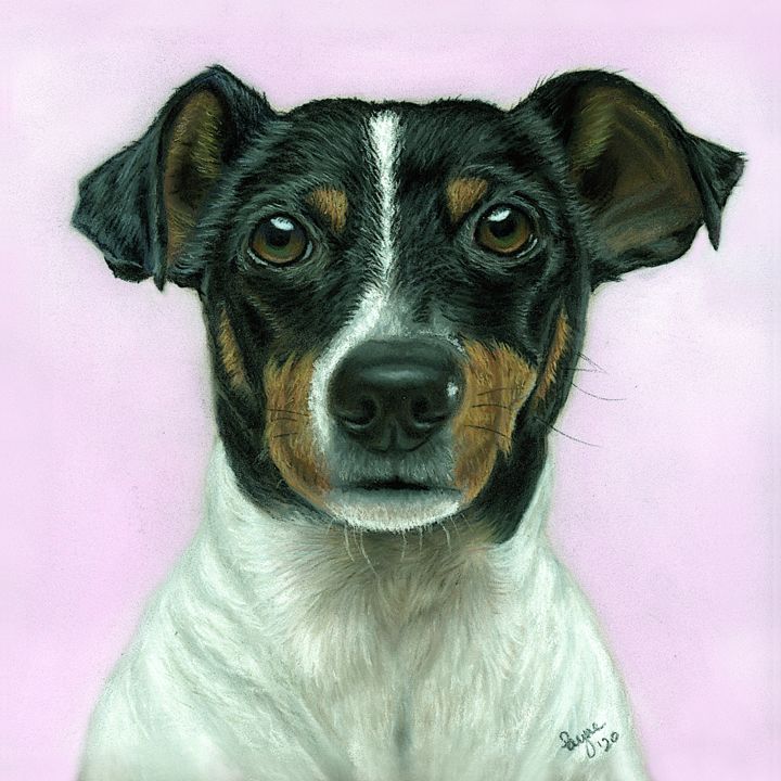 Drawing titled "Dog" by Teresa Payne Art, Original Artwork, Pastel Mounted on Other rigid panel