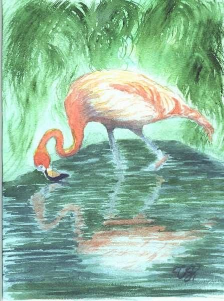 Peinture intitulée "Flamant rose et son…" par Tess Giddings, Œuvre d'art originale,