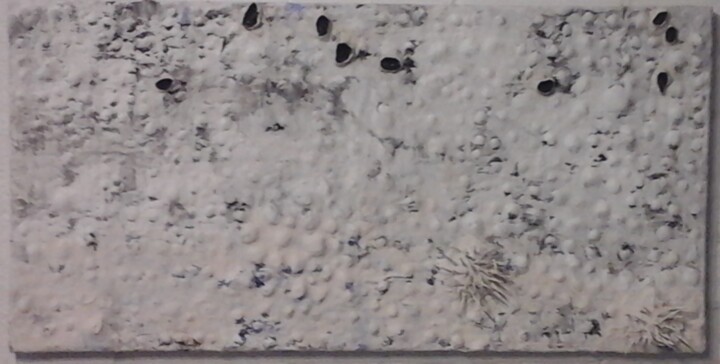 Collages intitulée "Fosiles 112" par Tete Antoli, Œuvre d'art originale, Collages Monté sur Panneau de bois