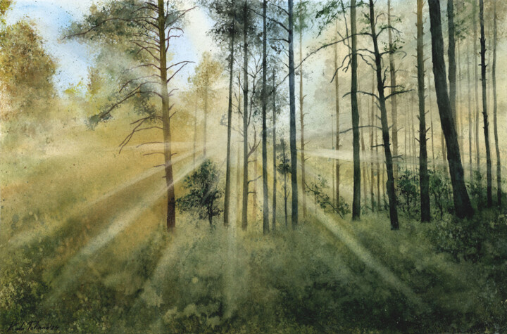 Peinture intitulée "Sunlight in the for…" par Tetiana Koda, Œuvre d'art originale, Aquarelle