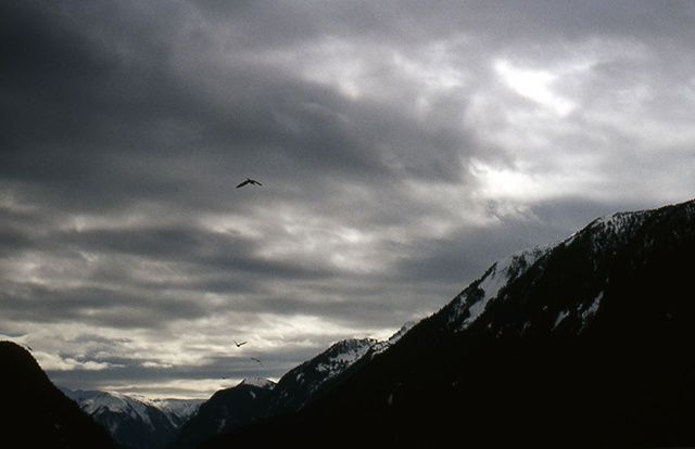 Fotografia intitulada "Yellowhead Highway" por Tetsuya Endo, Obras de arte originais, Fotografia de filme