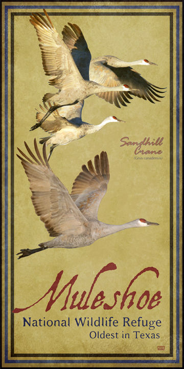 Digital Arts titled "Muleshoe Wildlife R…" by Jim Sanders, Original Artwork