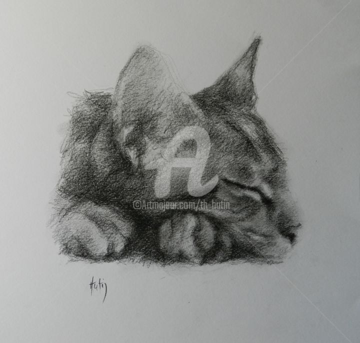 Dessin intitulée "chat dormant" par Th. Hutin, Œuvre d'art originale, Craie
