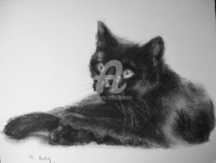 Drawing titled "chat noir" by Th. Hutin, Original Artwork, Chalk