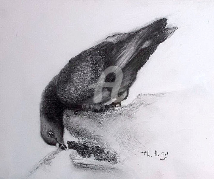 Dessin intitulée "Pigeon à la fontaine" par Th. Hutin, Œuvre d'art originale, Craie