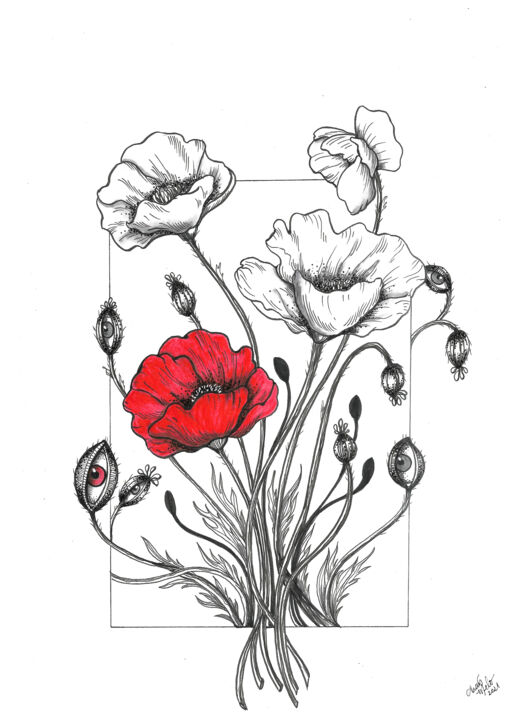 Drawing titled "Red Poppy" by Thaís Melo, Original Artwork, Ink