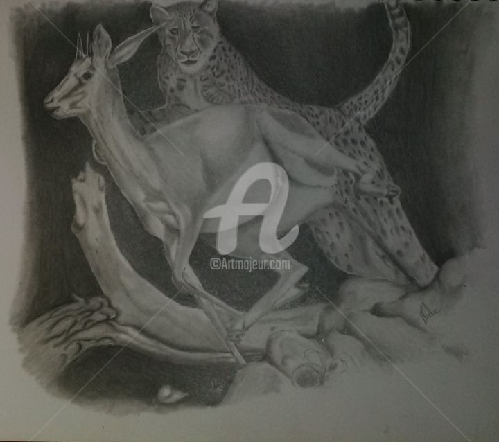 Drawing titled "img-wild life.jpg" by Thebe, Original Artwork, Pencil