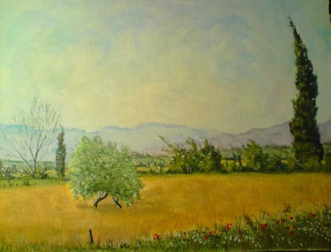 Painting titled "oliviers et cyprès…" by Cedric Thenot, Original Artwork