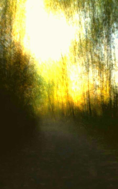 Photographie intitulée "afternoon-forest" par Theodore Fedoruk, Œuvre d'art originale