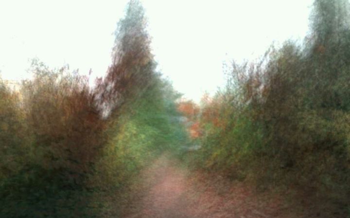 Photography titled "Secret-path" by Theodore Fedoruk, Original Art, Digital Photography