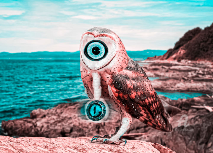 제목이 "The owl watches its…"인 디지털 아트 Thiago Pixels로, 원작, 포토 몽타주