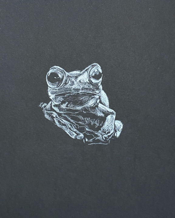 Drawing titled "FROG" by Thibaut Dapoigny, Original Art, Graphite