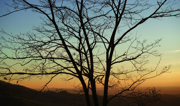 "Sunset in the Viney…" başlıklı Fotoğraf Thiemo Kastel (Mixed Reality Arts) tarafından, Orijinal sanat, Dijital Fotoğrafçılık