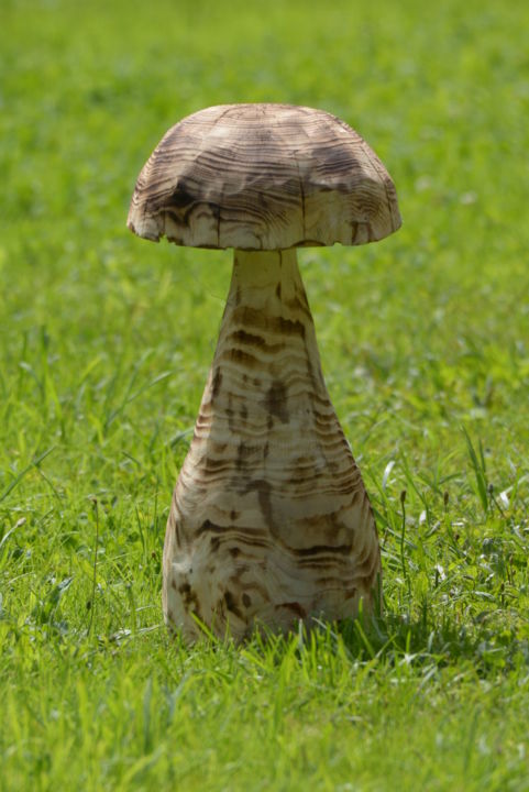 Escultura intitulada "gros champignon" por Sculpture Sur Bois, Obras de arte originais, Madeira