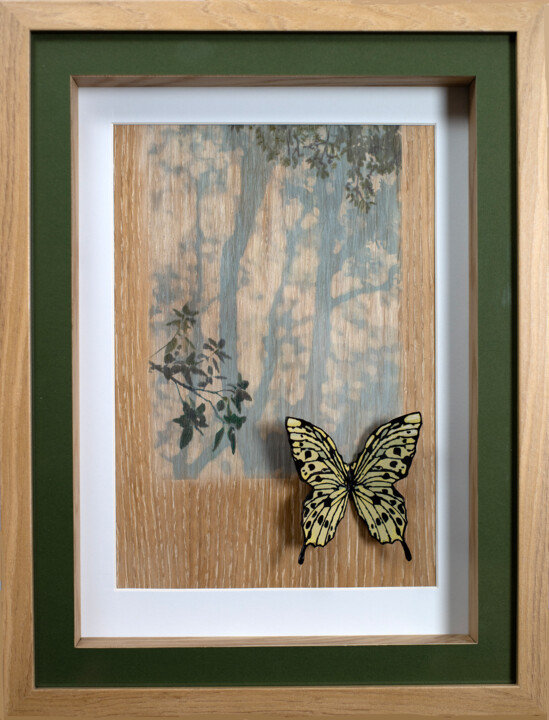 Sculpture titled "Collection Papillon…" by Thierry Legrand (ziiart), Original Artwork, Ink Mounted on Cardboard