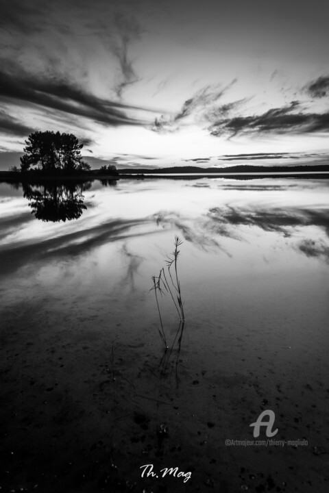 Fotografia zatytułowany „Graphique nature” autorstwa Thierry Magliulo (Th.Mag), Oryginalna praca, Fotografia cyfrowa