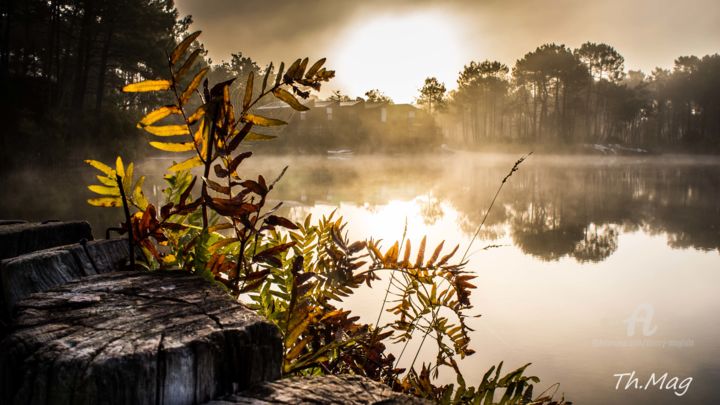 Fotografia zatytułowany „La brume s'estompe.…” autorstwa Thierry Magliulo (Th.Mag), Oryginalna praca