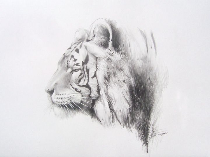 「Tigre Mahawak」というタイトルの描画 Thierry Mordantによって, オリジナルのアートワーク, 鉛筆