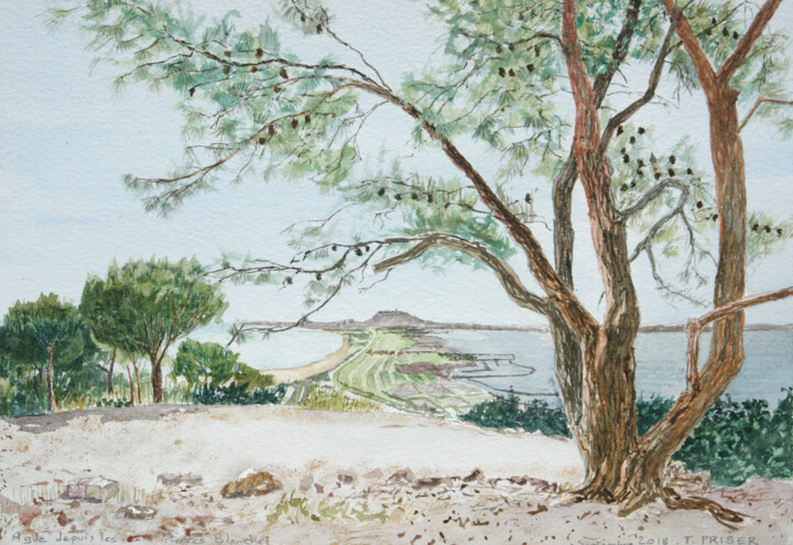 Schilderij getiteld "Agde depuis les Pie…" door Thierry Priser, Origineel Kunstwerk, Aquarel