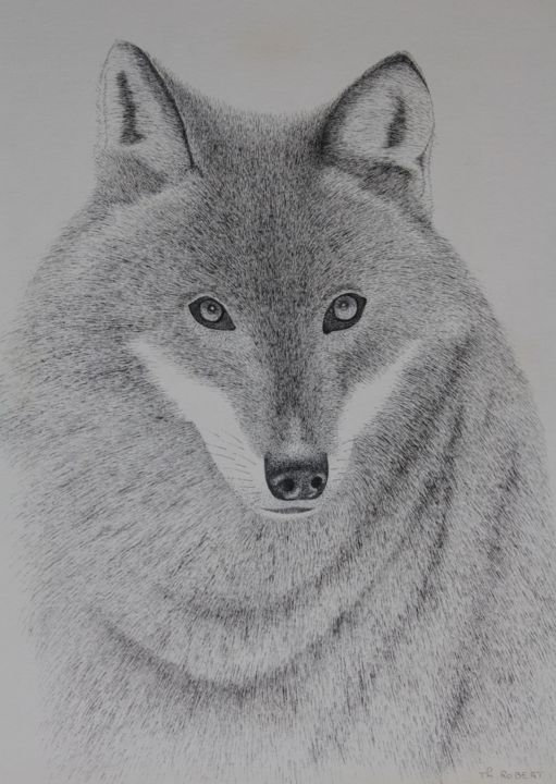 Drawing titled "Loup" by Thierry Robert, Original Artwork, Ink