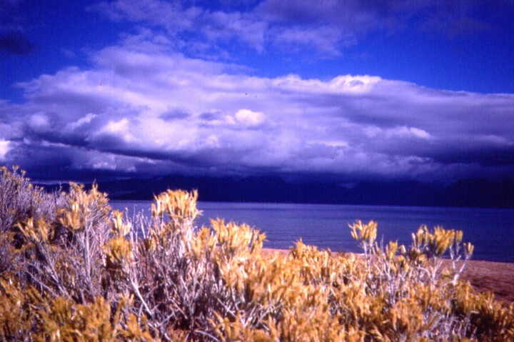 Photography titled "Lac tahoe" by Thierry Texier, Original Artwork, Analog photography