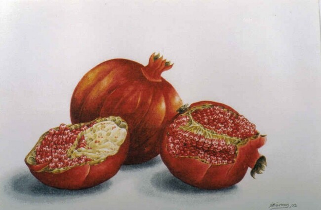 绘画 标题为“pomegranates 6” 由Thomai Kontou, 原创艺术品, 其他