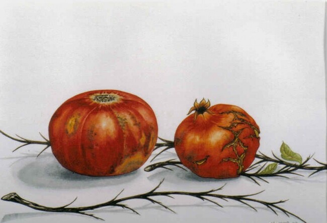 Painting titled "pomagranates 10" by Thomai Kontou, Original Artwork, Other